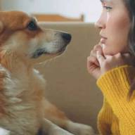 Qué significa hablarle a las mascotas como bebés y por qué funciona