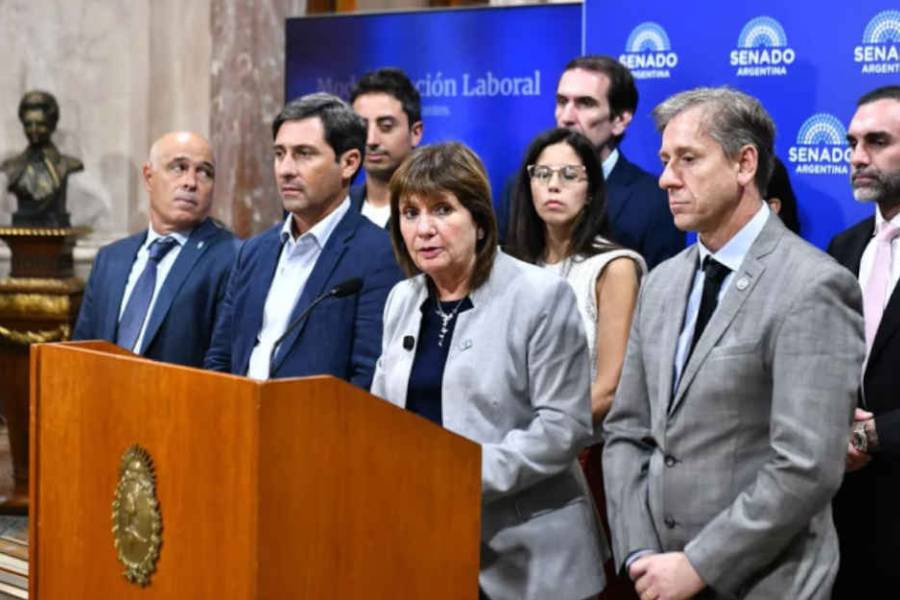Senado aprobó la ley de regularización y entrega voluntaria de armas hasta 2027