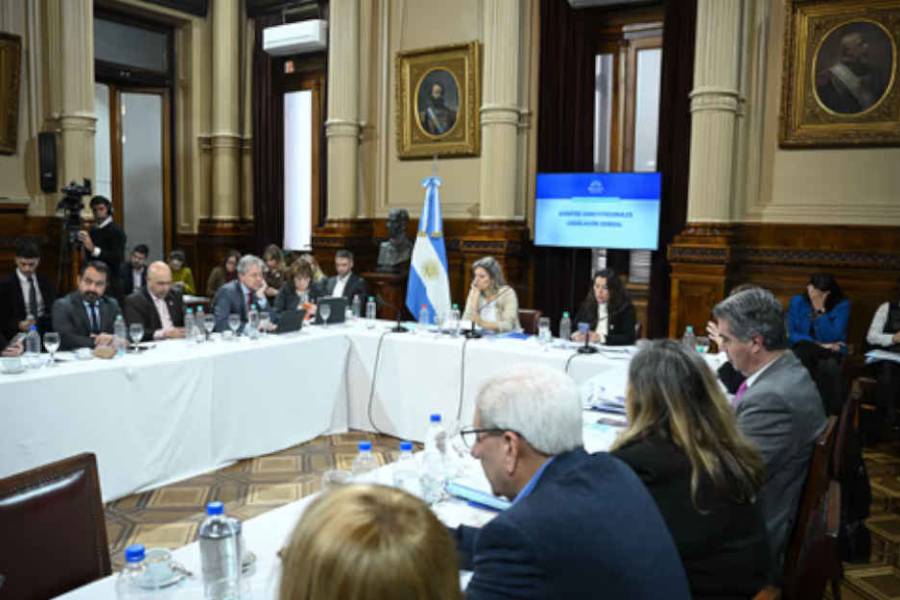 Senado: hay dictamen sobre propiedad privada y las provincias definirán compra de tierras de extranjeros