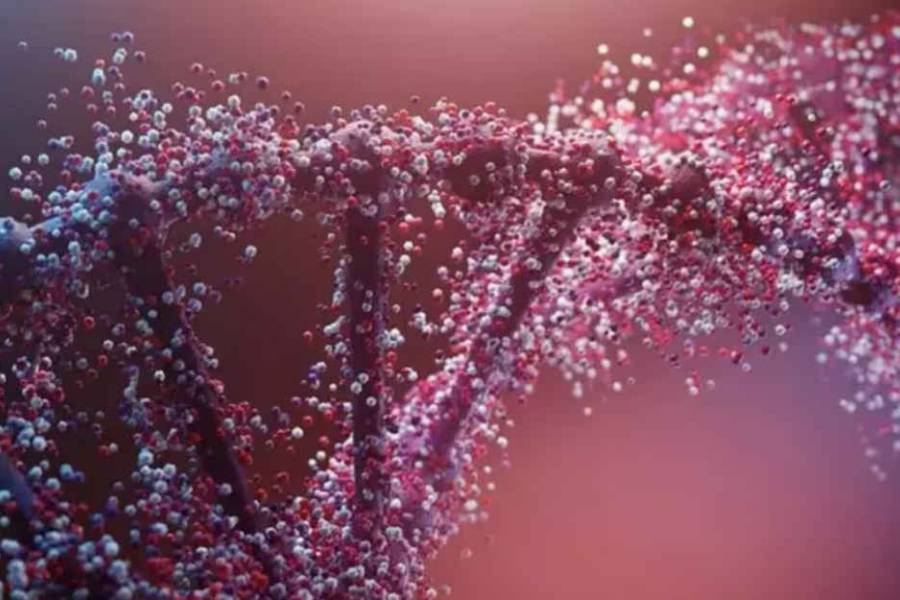 Ansiedad: identifican 74 variantes genéticas detrás de ese trastorno cada vez más frecuente