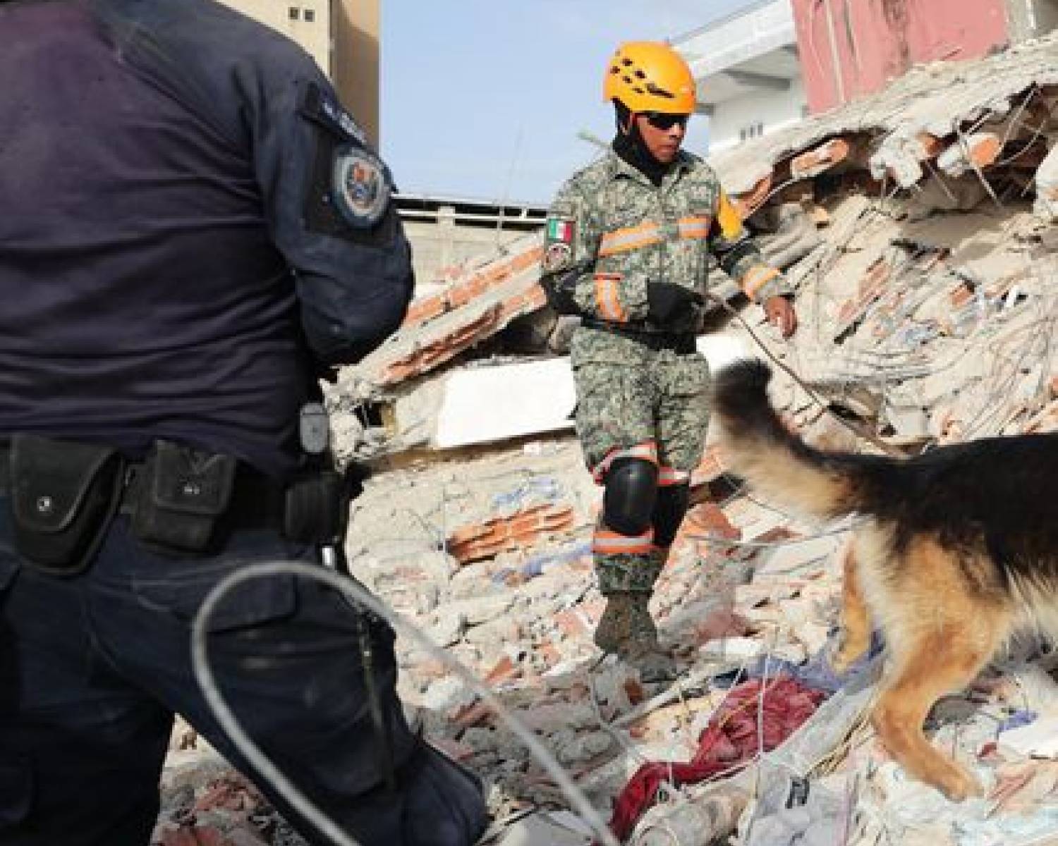Terremotos en Venezuela: tras nuevas réplicas, continúan los operativos de rescate en el país