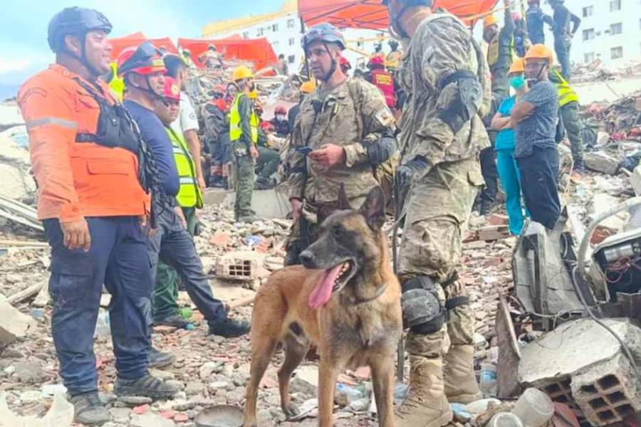 La misión humanitaria argentina rescató a dos menores de entre los escombros en Venezuela