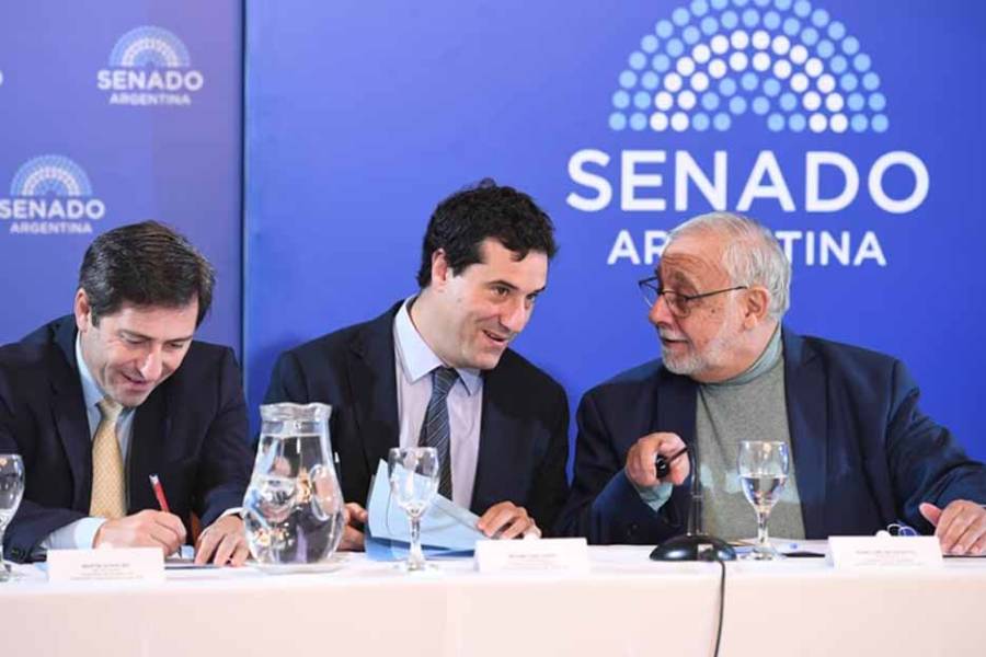 El ex secretario de Lijo rendirá examen en el Senado para el juzgado que tiene la causa de Insaurralde y Cirio