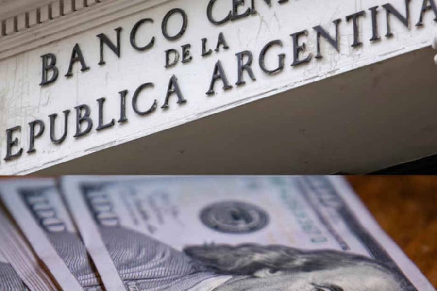 El Banco Central habilitó el pago de sueldos en dólares