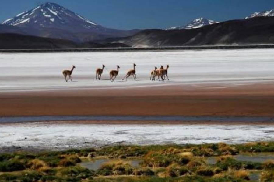 Catamarca entre las cinco provincias con más tierras en manos extranjeras