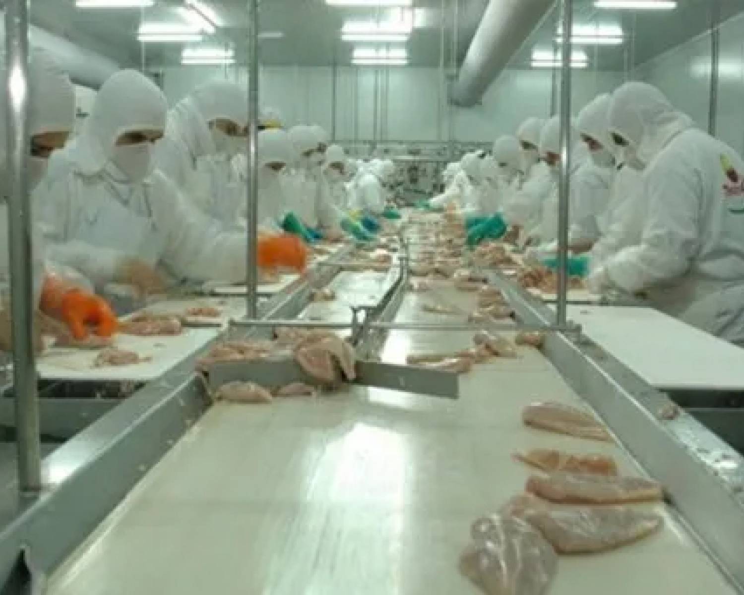 Granja Tres Arroyos echó a 250 trabajadores por la caída del consumo