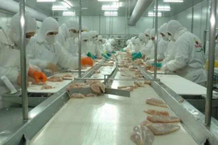 Granja Tres Arroyos echó a 250 trabajadores por la caída del consumo