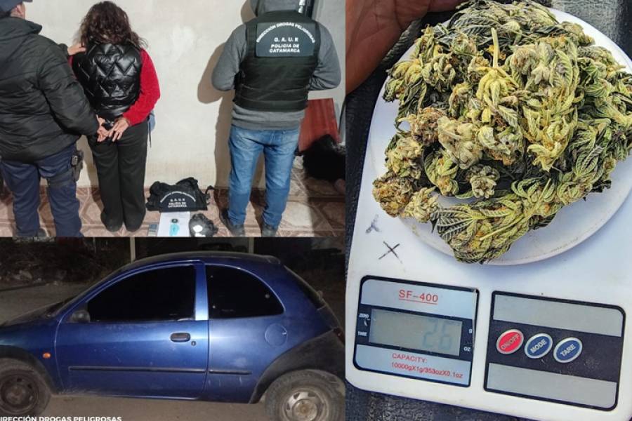 Golpe al narcomenudeo en el interior provincial: dos detenidas y droga secuestrada en varios operativos