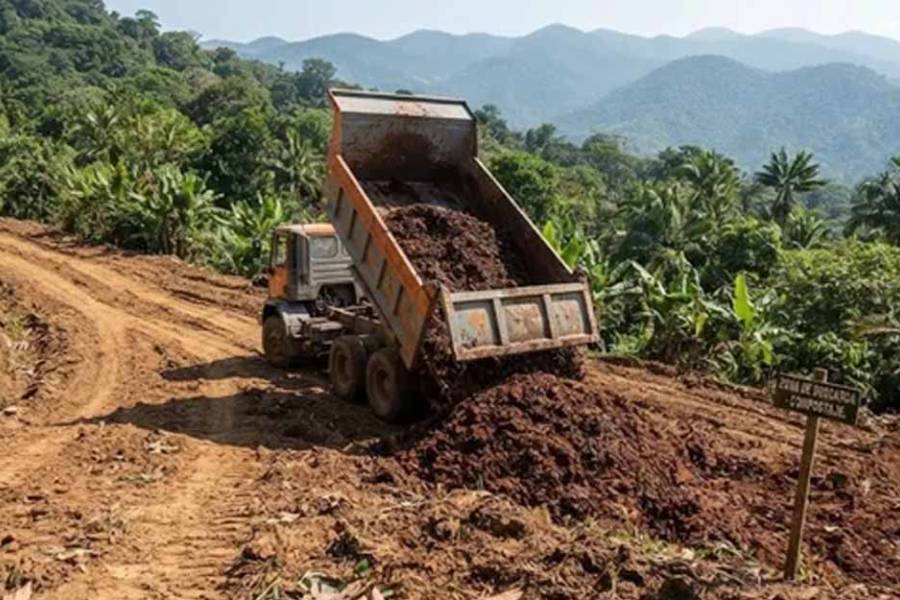 Tiraron 30 camiones de pulpa de café en el sur del país y 2 años después había árboles en el 80% del terreno