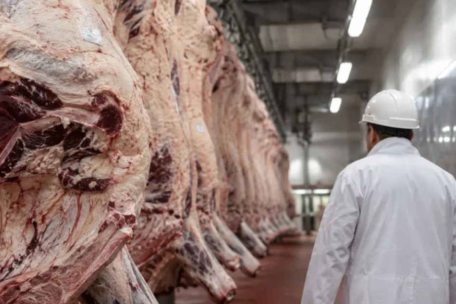 Argentina quedó afuera de la ampliación del cupo de importación de carne de Estados Unidos