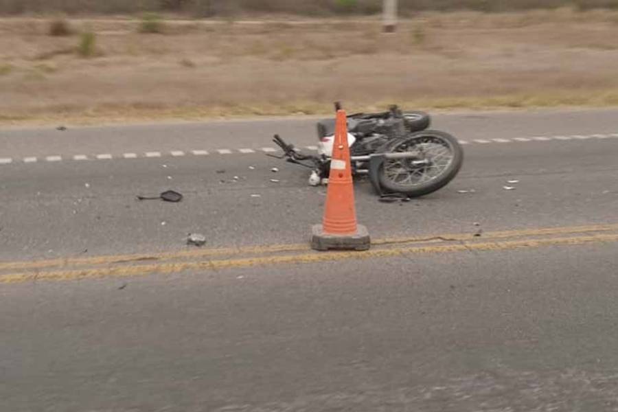 Nuevo siniestro vial en Avenida de Circunvalación por animales sueltos en la ruta