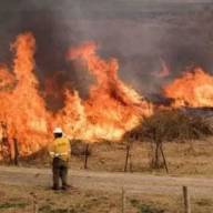 Alerta roja por incendios forestales en Catamarca