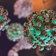 Hantavirus: se notificaron 112 casos confirmados