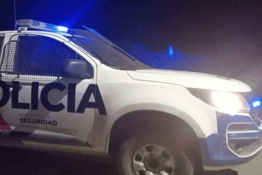 Está vivo de milagro: Automovilista chocó con animal suelto en Ruta 38