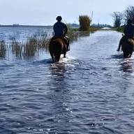 Declaran la emergencia agropecuaria en distritos bonaerenses tras las graves inundaciones
