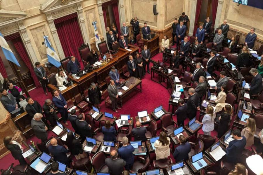 El Senado debate la reforma de la Ley de Salud Mental que habilita las internaciones involuntarias