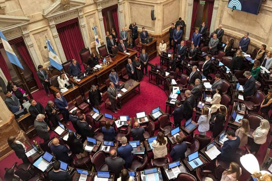 El Senado aprobó en general la reforma de la Ley de Salud Mental, que habilita internaciones involuntarias