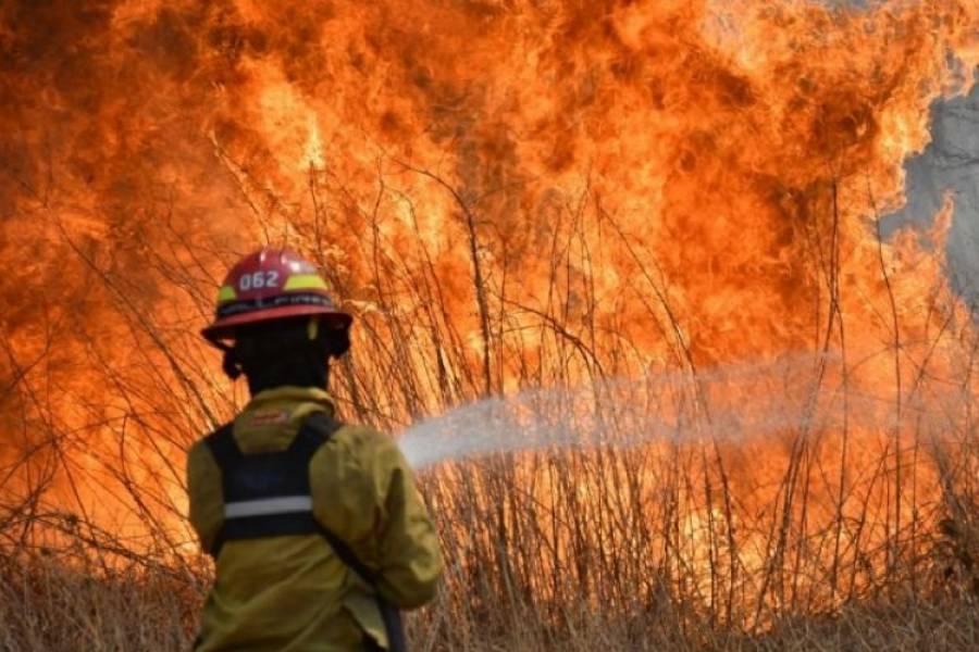 Hay tres detenidos por los incendios que destruyeron más de 5.000 hectáreas en Córdoba