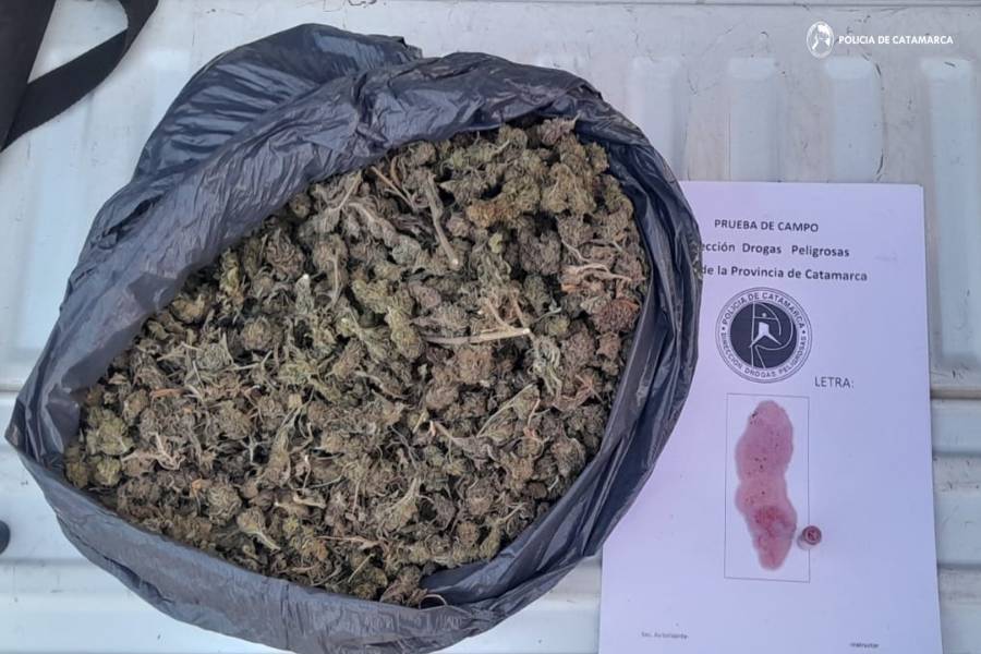 Lo pescaron con casi 800gr de marihuana en La Paz