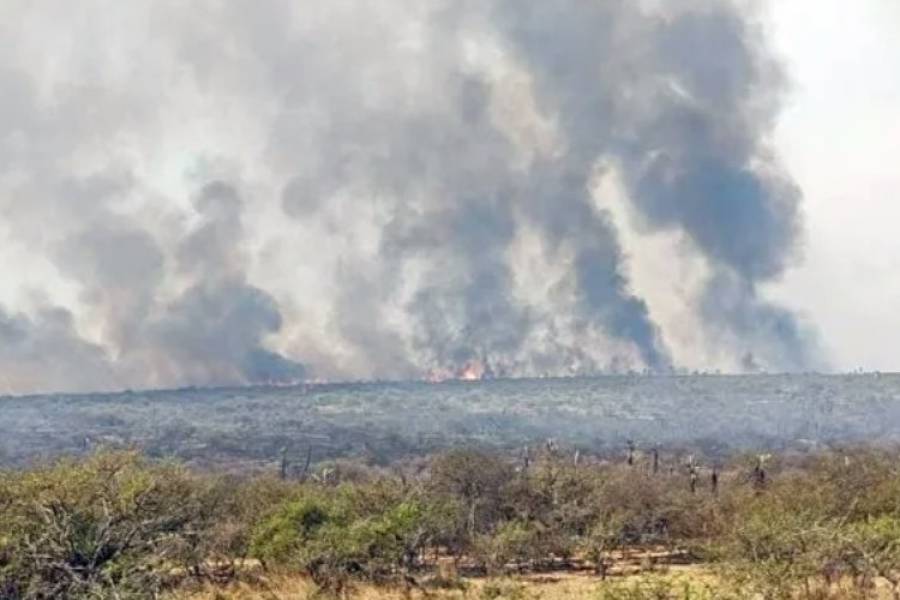 Córdoba: evacuaron un barrio cerrado en Calamuchita por los incendios forestales