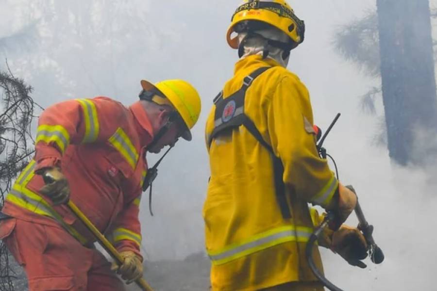 Incendios forestales en Calamuchita: el Gobierno de Córdoba declaró el estado de desastre