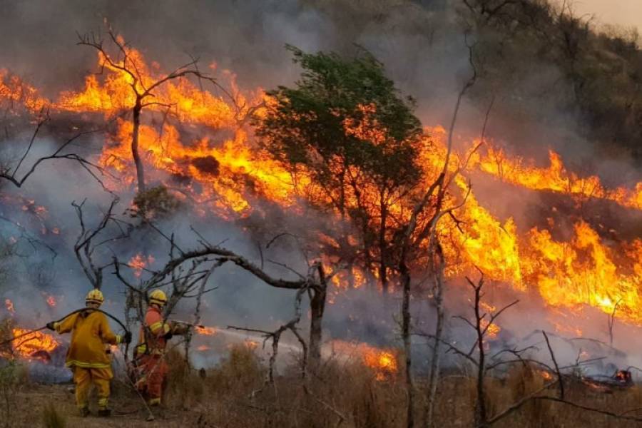 Incendios en Córdoba: el Senado aprobó la emergencia ambiental por 180 días