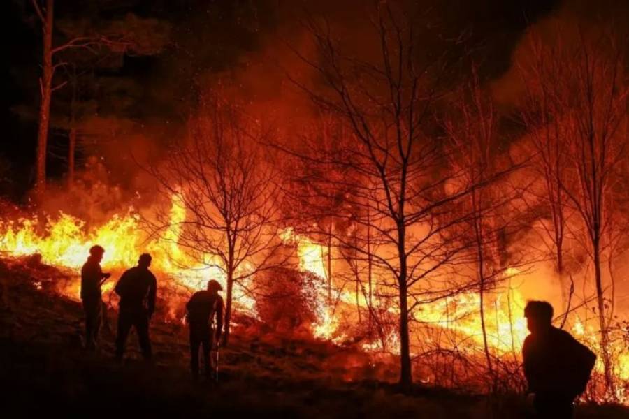 Una ONG internacional intima a la Argentina por su inacción en los incendios forestales