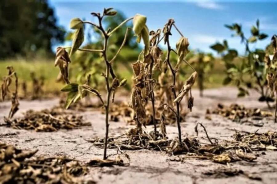 Preocupación por La Niña y el cuadro de sequía que se viene para el resto de la primavera