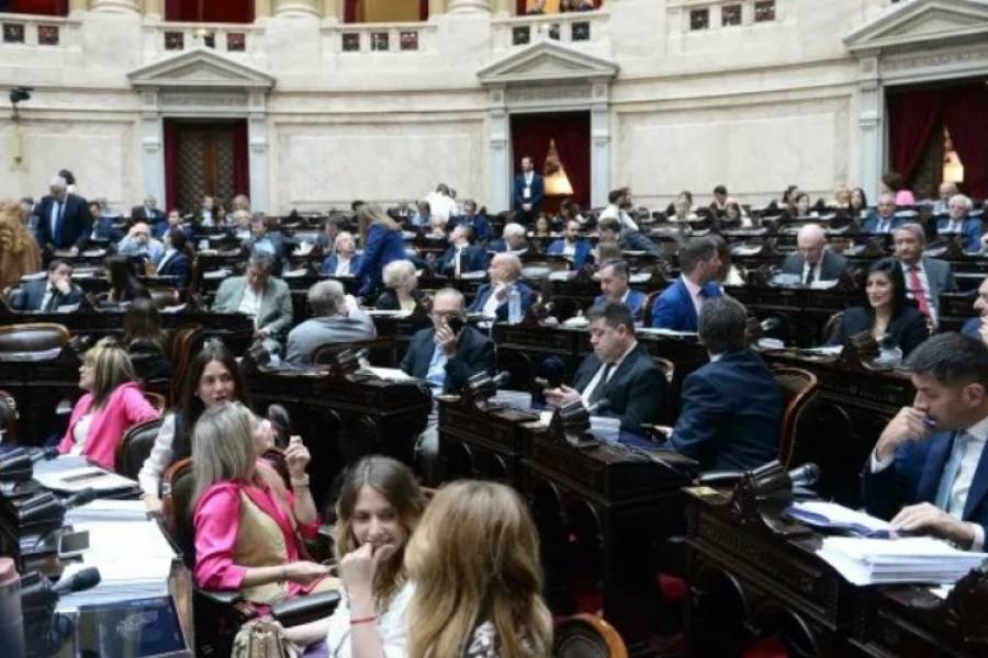 La oposición pedirá una sesión especial en Diputados para rechazar el veto a la Ley de Financiamiento Universitario