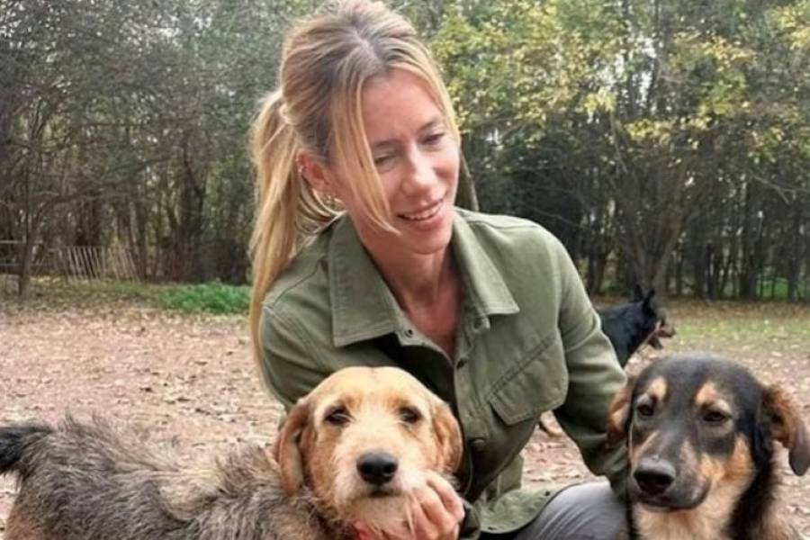 Cuántos perros rescató Nicole Neumann de la calle a lo largo de su vida