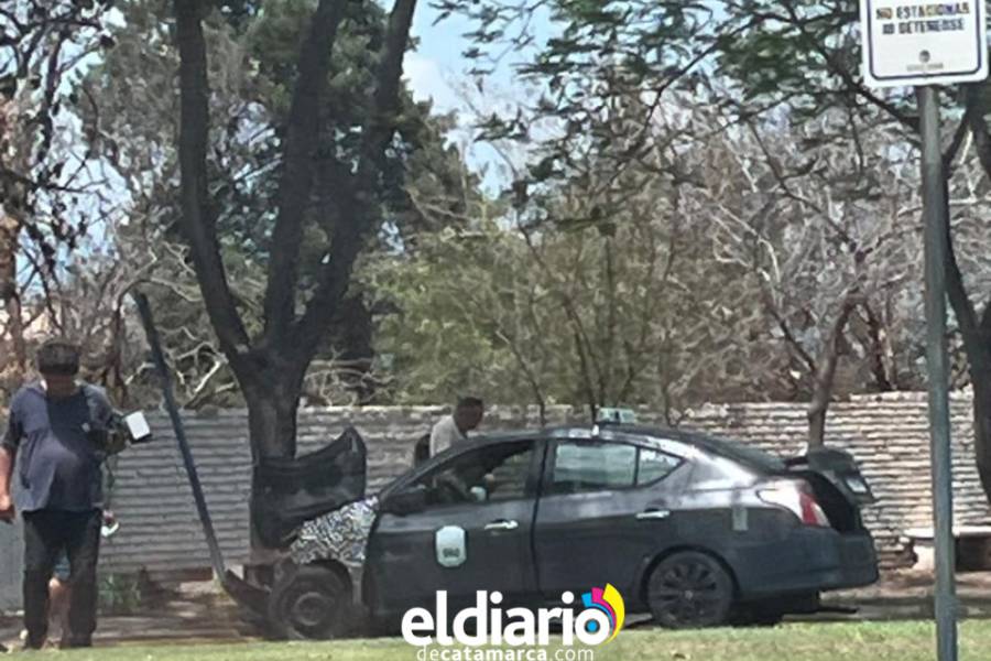 Se estrelló contra un árbol