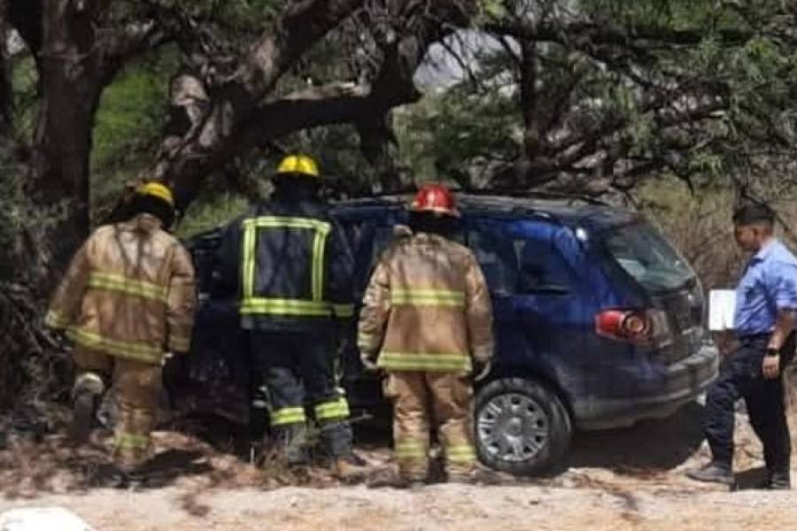 Estrelló el auto contra un árbol y perdió la vida 