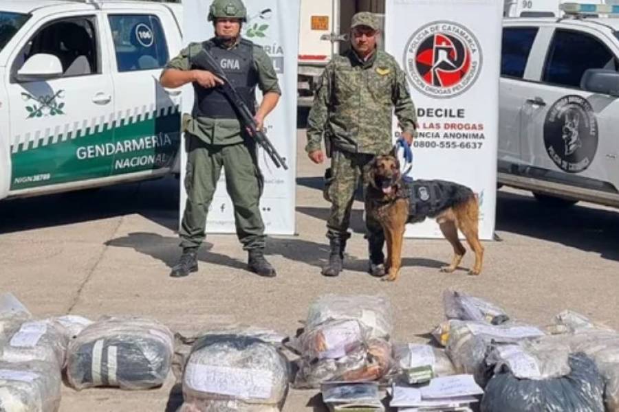 Quemaron  marihuana y  Cocaína por un valor de 1700 millones de pesos