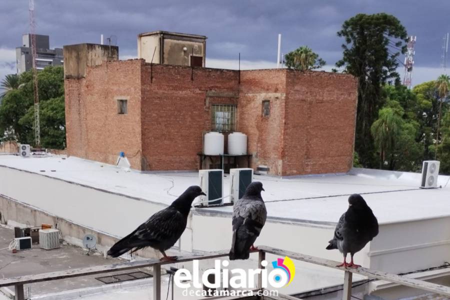 Miércoles lluvioso y una máxima de 33°C