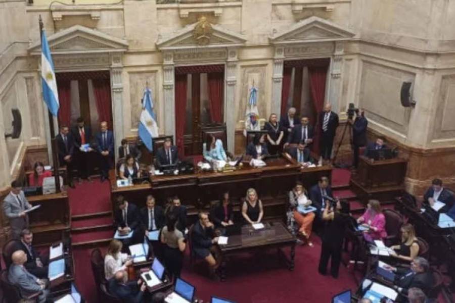 El Senado aprobó la expulsión de Edgardo Kueider